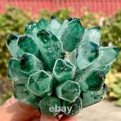 1,33 LB Nouvelle découverte de grappe de cristaux de quartz vert Phantom, spécimen minéral