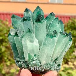 1,33 LB Nouvelle découverte de grappe de cristaux de quartz vert Phantom, spécimen minéral