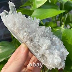 1.34LB Échantillon de groupe de cristaux de quartz naturels clairs et magnifiques pour la guérison Reiki