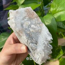1.34LB Échantillon de groupe de cristaux de quartz naturels clairs et magnifiques pour la guérison Reiki