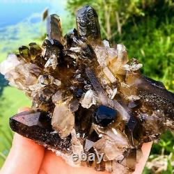 1.35 Lb Citrine Naturelle Smokey Crystal Cluster Quartz Crystal Mineral Specimen