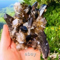 1.35 Lb Citrine Naturelle Smokey Crystal Cluster Quartz Crystal Mineral Specimen