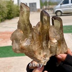 1.3LB Citrine naturel grappe spécimen minéral cristal de quartz de guérison