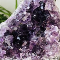 1.3lb Améthyste Naturel Quartz Cristal Cluster Druse Raw Mineral Specimen Healing
