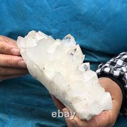 1.49lb Naturel Blanc Clair Quartz Cristal Cluster Guérison Dure