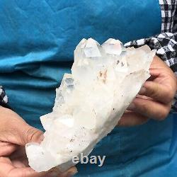 1.49lb Naturel Blanc Clair Quartz Cristal Cluster Guérison Dure