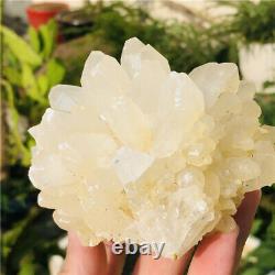 1.4lb Cluster De Cristal Clair De Quartz Naturel Drogue Brute Drogue Rough Mineral Specimens
