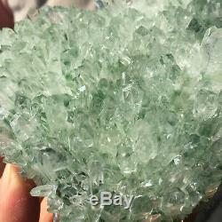 1,5 Lb Nouvelle Trouvaille Verte Fantôme De Cristal De Quartz Fantôme De Guérison Minérale 310