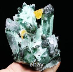 1.53lb Nouveau Trouver Vert/jaune Phantom Quartz Crystal Cluster Mineral Specimen