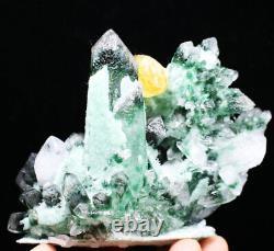 1.53lb Nouveau Trouver Vert/jaune Phantom Quartz Crystal Cluster Mineral Specimen