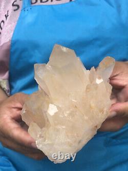 1.58lb Naturel Clair Belle Blanc Quartz Cristal Cluster Guérison Des Spécimens