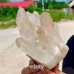 1,65LB Échantillon de minéraux en cluster de cristal de quartz blanc naturel pour la guérison