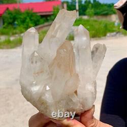 1,65LB Échantillon de minéraux en cluster de cristal de quartz blanc naturel pour la guérison