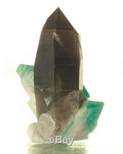 1.7 Dramatic Smoky Quartz Crystal Withcluster Of Turquoise Amazonite Co À Vendre