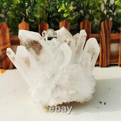 1.71lb Naturel Blanc Clair Quartz Cristal Cluster Rough Healing Specimen Décor
