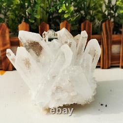 1.71lb Naturel Blanc Clair Quartz Cristal Cluster Rough Healing Specimen Décor