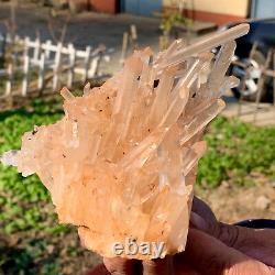 1.74 Lb Natural Quartz Cristal Cluster Specimen Madagascar