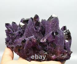 1,76lb Rare! Nouveau Trouver Natural Beatiful Améthyst Quartz Crystal Cluster Specimen