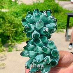 1.7LB Nouvelle découverte de grappe de cristaux de quartz vert Phantom spécimen minéral de guérison