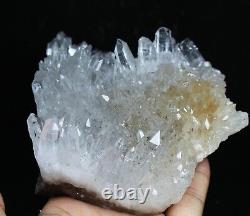 1.81b Naturel Belle Chrysanthème Blanc Quartz Cristal Cluster Specimen