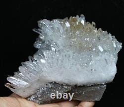 1.81b Naturel Belle Chrysanthème Blanc Quartz Cristal Cluster Specimen