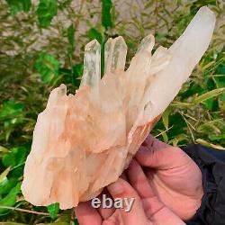1.85LB Transparent, naturel, magnifique spécimen de cristal de quartz blanc en grappe