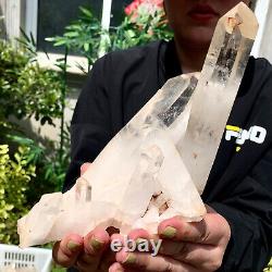 1,8LB Beau spécimen de grappe de cristaux de quartz blanc clair et naturel
