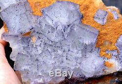 1.8lb Naturel Bleu Violet Vert Cubique Fluorite Cristal Cluster Minéral Spécimen