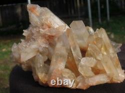 1.9 Lb Citrine Naturelle Quartz Cristal Cluster Specimen