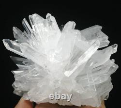 1.93lb Naturel Belle Blanc Quartz Cristal Point Cluster Mineral Specimen