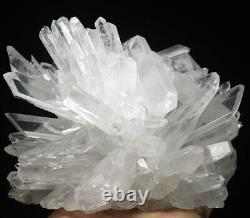 1.93lb Naturel Belle Blanc Quartz Cristal Point Cluster Mineral Specimen