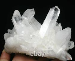 1.94lb Naturel Belle Blanc Quartz Cristal Point Cluster Mineral Specimen