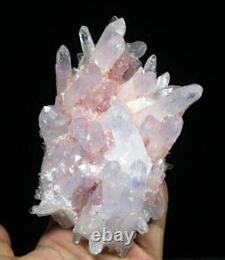 1.9lb Rare Beatiful Red / Blue Tibetan Ghost Phantom Crystal Cluster Specimen