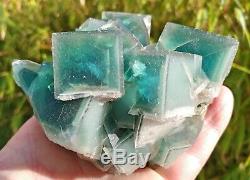 1 Lb 12 Oz Cube Vert Fluorite Cristal Cluster Avec Phantoms Dans La Matrice De La 4.5x4