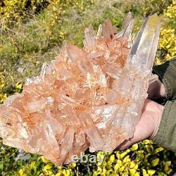 10.3lb Top Cristal Naturel Cristal Transparent Cristal Cluster Minéral Spécimen
