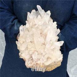 10,56LB Échantillon de minéral en grappe de quartz naturel - Cristal de guérison