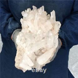 10,56LB Échantillon de minéral en grappe de quartz naturel - Cristal de guérison