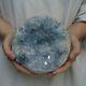 10.75lb Natural Baby Blue Celestite Quartz Crystal Geode Cluster Points Brésil
