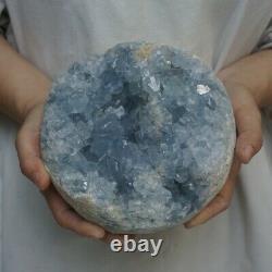 10.75lb Natural Baby Blue Celestite Quartz Crystal Geode Cluster Points Brésil