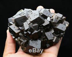1007g Natural Andradite Garnet Crystal Cluster Quartz Inner Mongolia / Chine