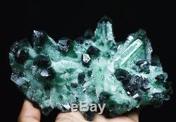 1038g Nouveau Trouver Beau Spécimen Vert Tibetan Phantom Quartz Cristal Cluster Spécimen
