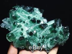 1038g Nouveau Trouver Beau Spécimen Vert Tibetan Phantom Quartz Cristal Cluster Spécimen