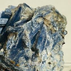 1039g Cluster De Cristal De Quartz De Kyanite Bleu Naturel Gemme Spécimen Guérison