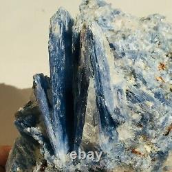 1039g Cluster De Cristal De Quartz De Kyanite Bleu Naturel Gemme Spécimen Guérison
