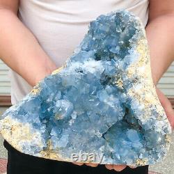 10860natural Raw Blue Celestite Crystal Quartz Cluster Geode Specimen Décor Maison
