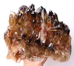 11.73lb Naturel Clair Smoky Citrine Quartz Point Cristal Cluster Healing Mineral