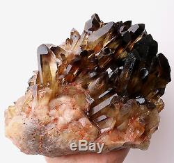 11.73lb Naturel Clair Smoky Citrine Quartz Point Cristal Cluster Healing Mineral