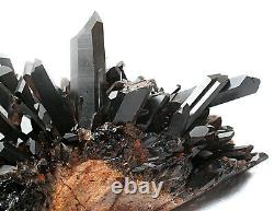 11.75lb Rare Naturel Noir Quartz Cristal Cluster Minéral Specimen