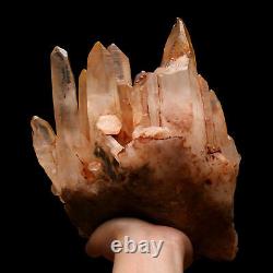 11,78lb Quartz naturel de guérison de point de grappe de cristal clair de peau spécimen minéral
