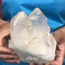 1150G Groupe de cristaux de quartz clair naturel spécimen minéral guérit